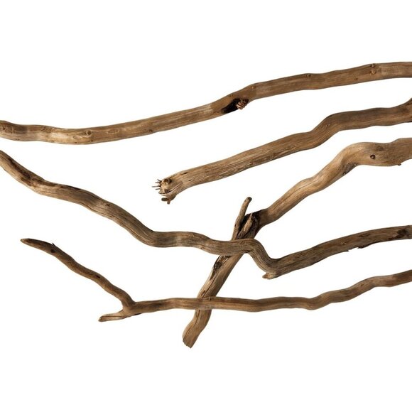 Natural Driftwood Pieces For Crafting & Home Decor 5 pieces - Picture 11 of 11